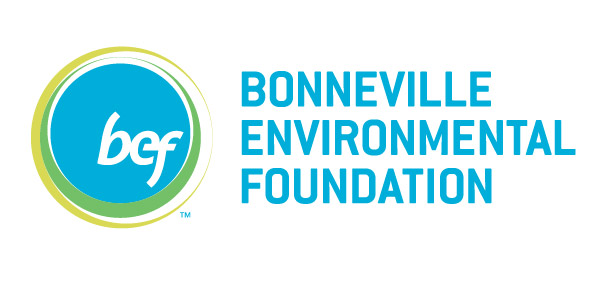 Bonneville - Centro Luken